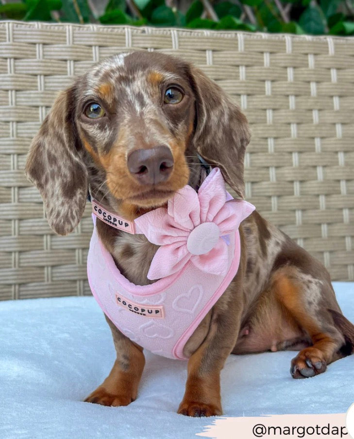Cocopup London Luxe Baby Pink Heart Collar Flower