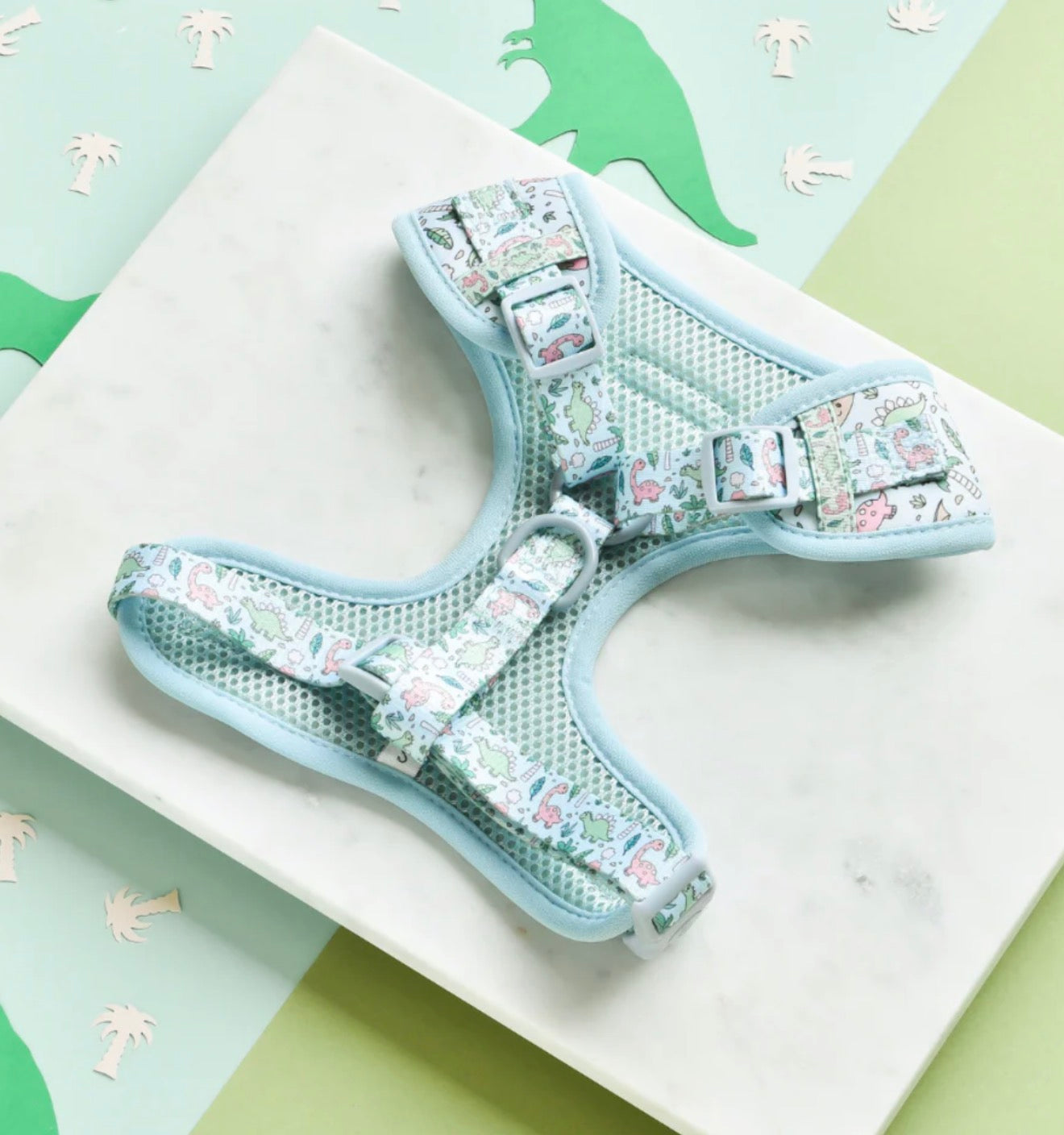 Cocopup London Dinopaws Adjustable Neck Harness