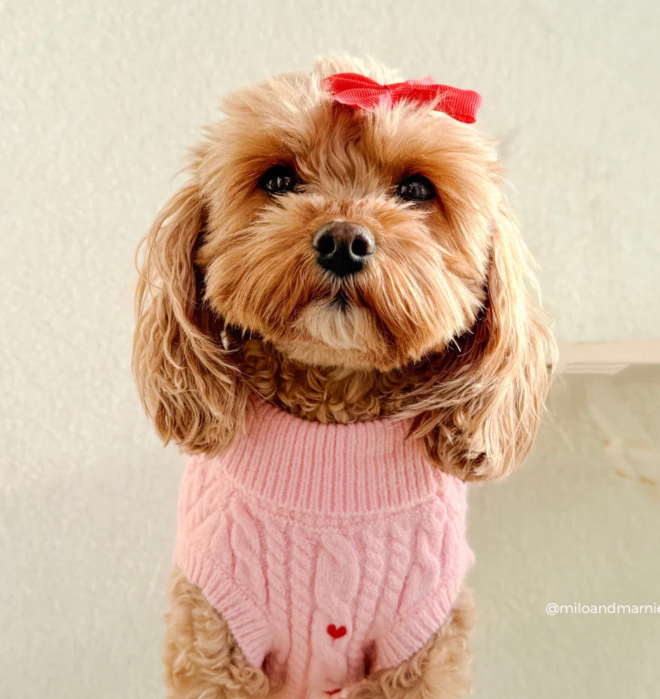 Cocopup London Dog Jumper Pink Heartstrings