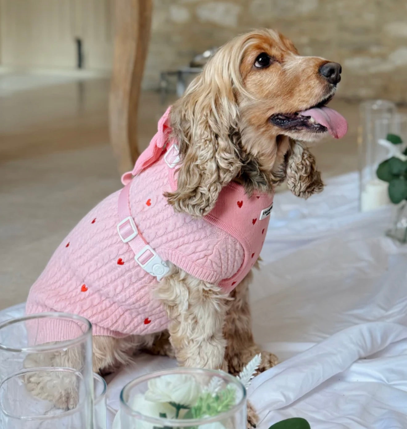 Cocopup London Dog Jumper Pink Heartstrings