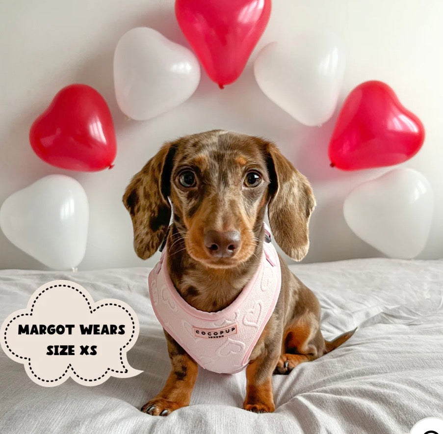 Cocopup London Baby Pink Heart Adjustable Neck Harness