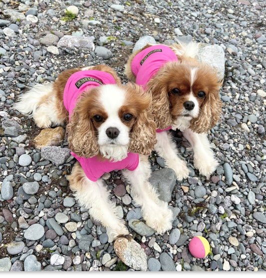 Equifleece Dog T-Shirt Body 19 Raspberry Pink