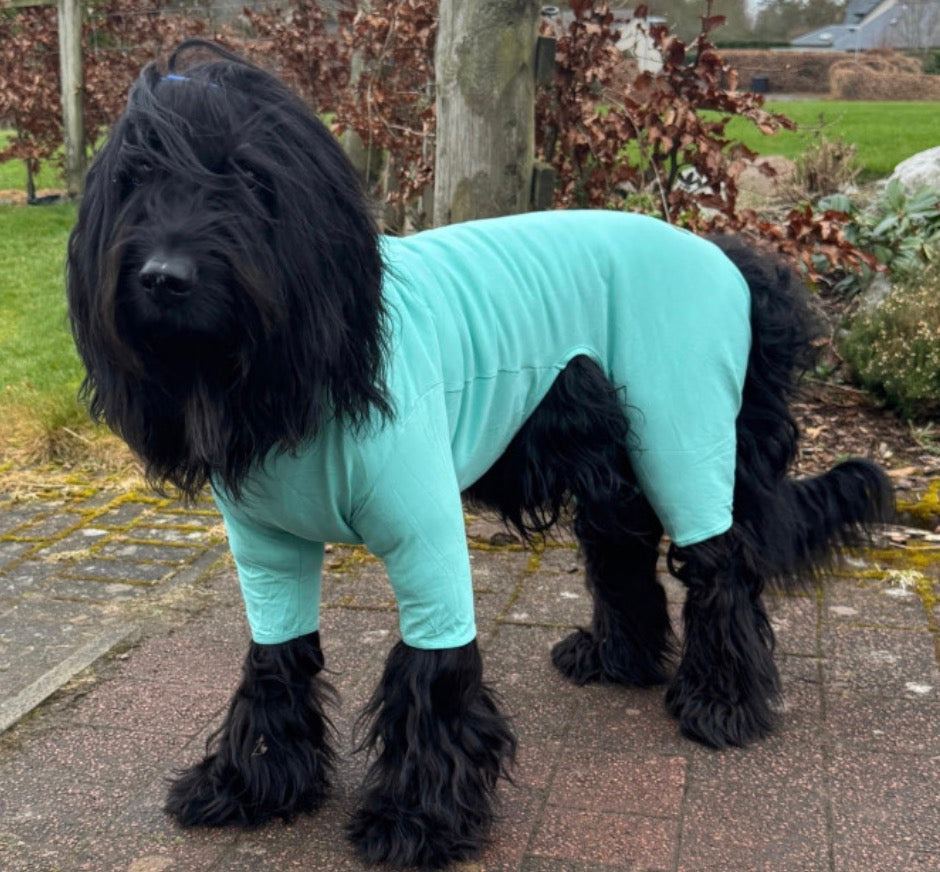 Equifleece Dog T-Shirt Body 16 Mint Green