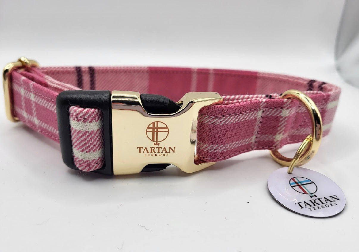 Tartan Terrors Ailsa Dance Tartan Collar
