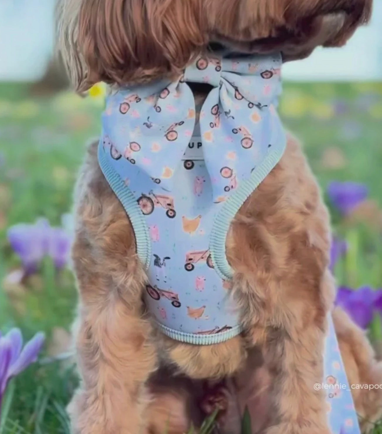 Cocopup London Barnyard Buddies Adjustable Neck Harness