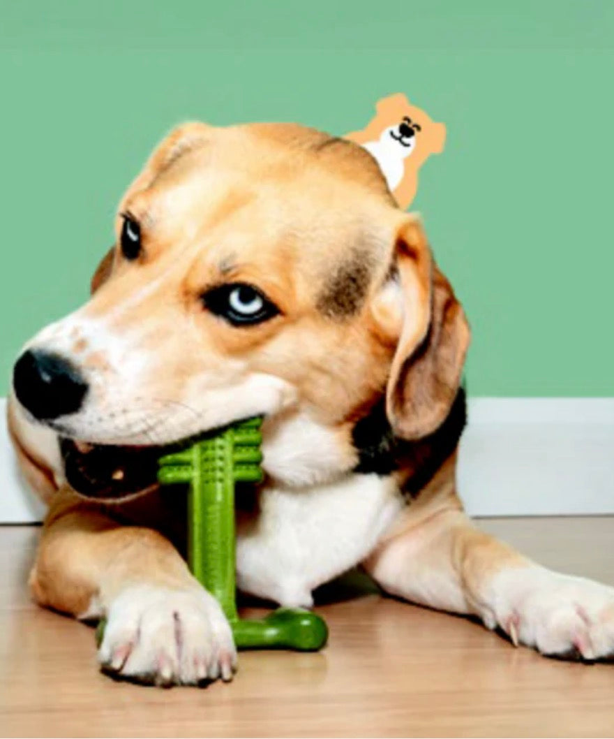 Bamboodles Dental Chew Toy Lamb & Mint Flavour Medium Size
