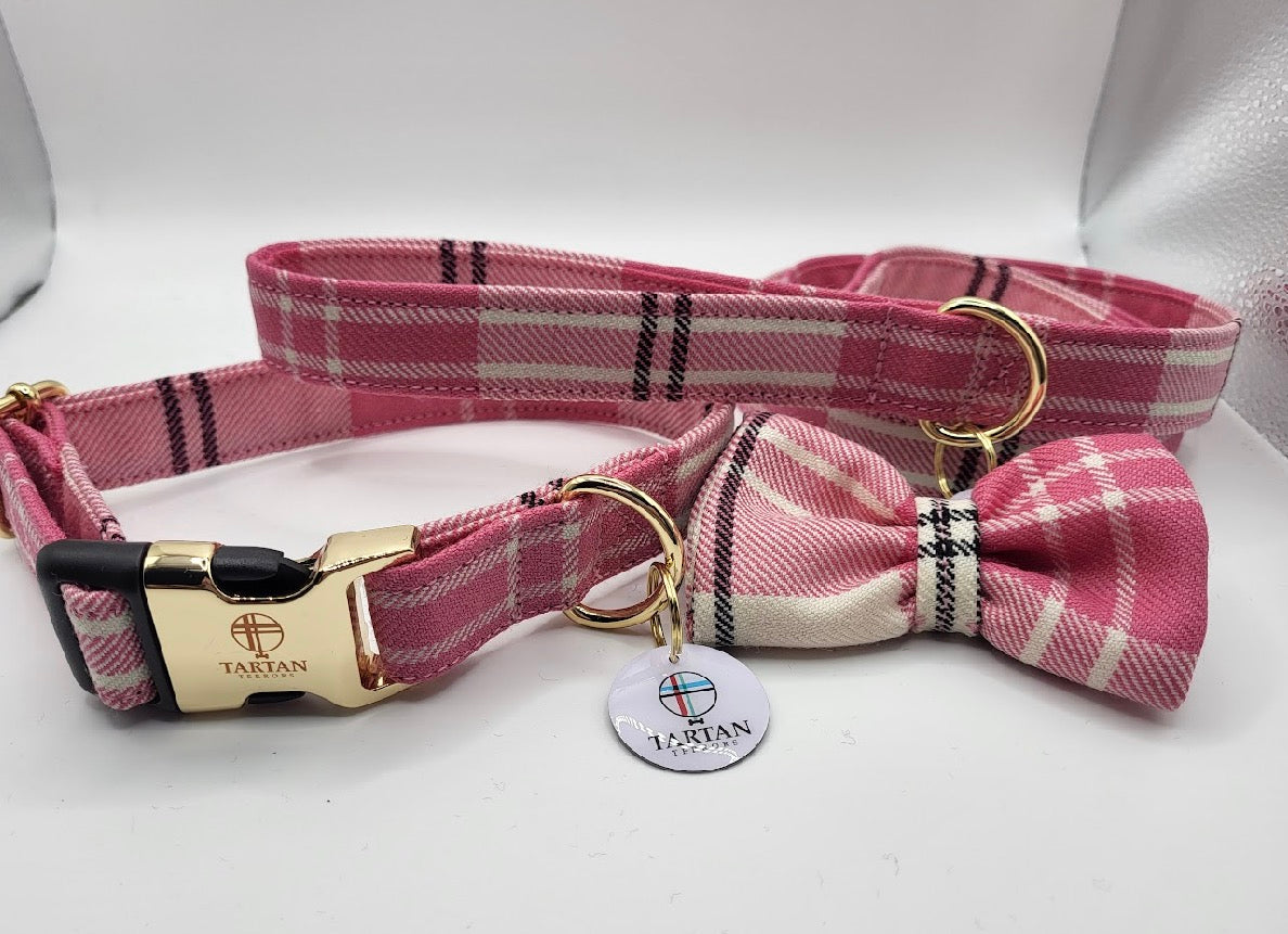 Tartan Terrors Ailsa Dance Tartan Collar