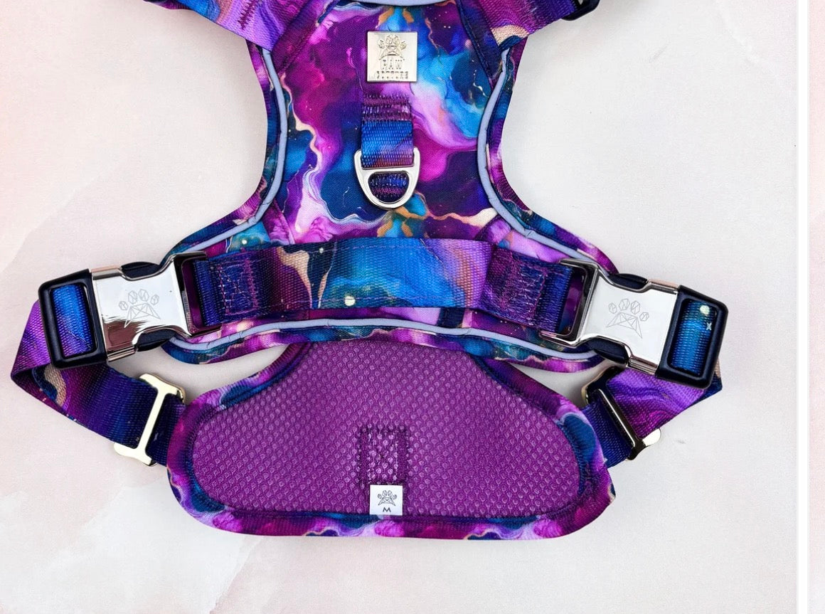 Paw Couture Cosmos Deluxe TrailBlazer Harness