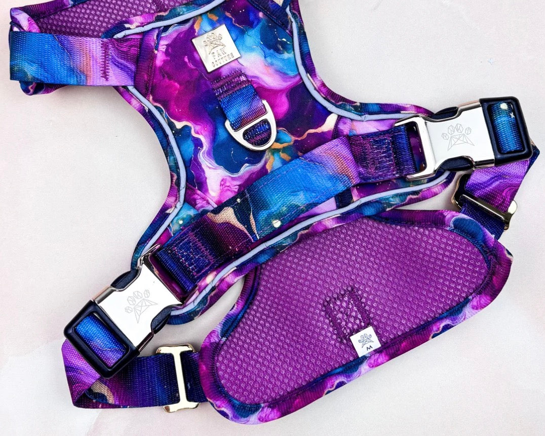 Paw Couture Cosmos Deluxe TrailBlazer Harness
