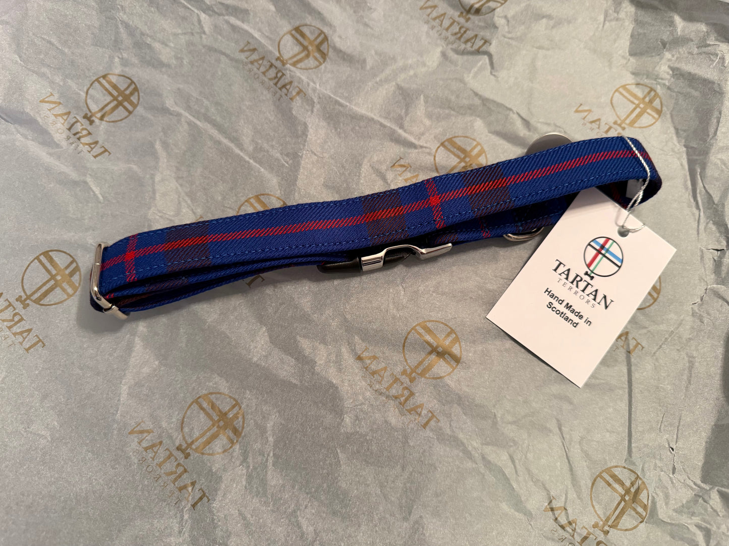 Tartan Terrors Elliott Tartan Collar