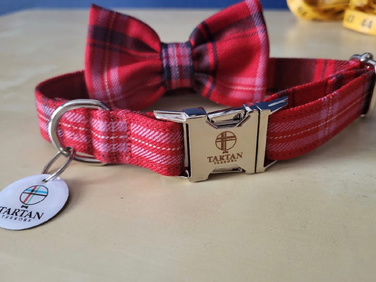 Tartan Terrors McDougall Tartan Collar