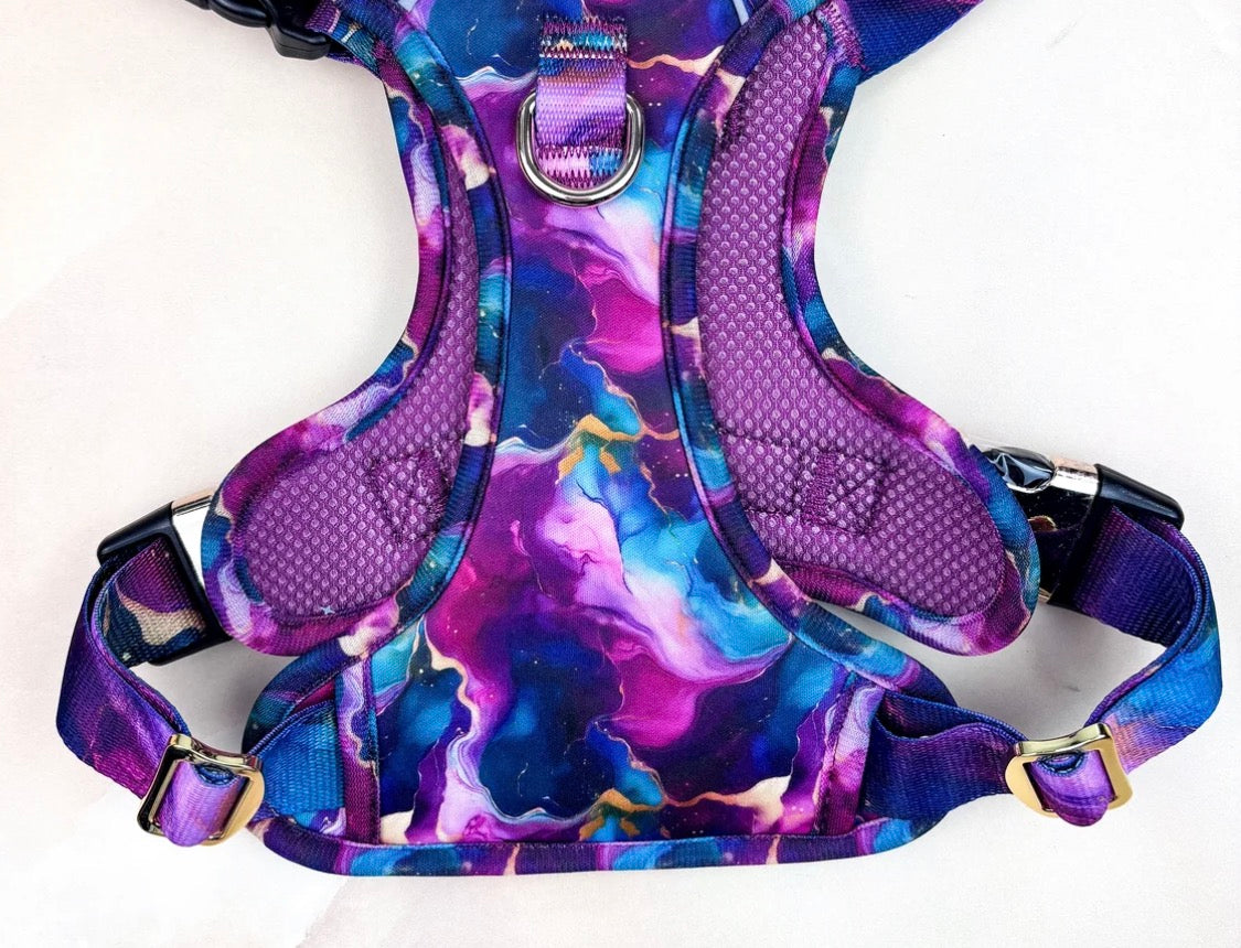 Paw Couture Cosmos Deluxe TrailBlazer Harness