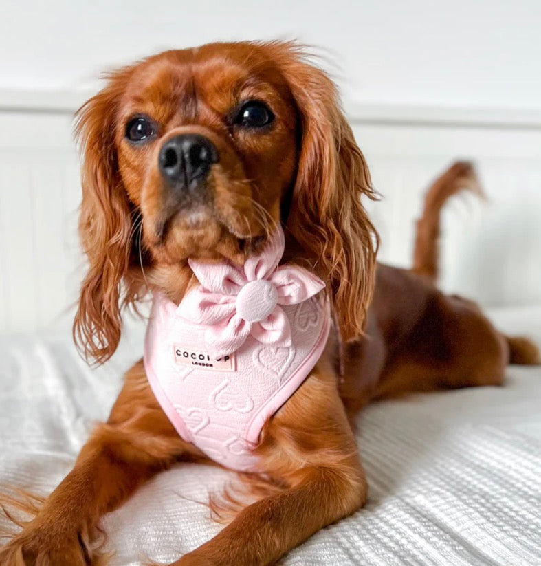 Cocopup London Luxe Baby Pink Heart Collar Flower