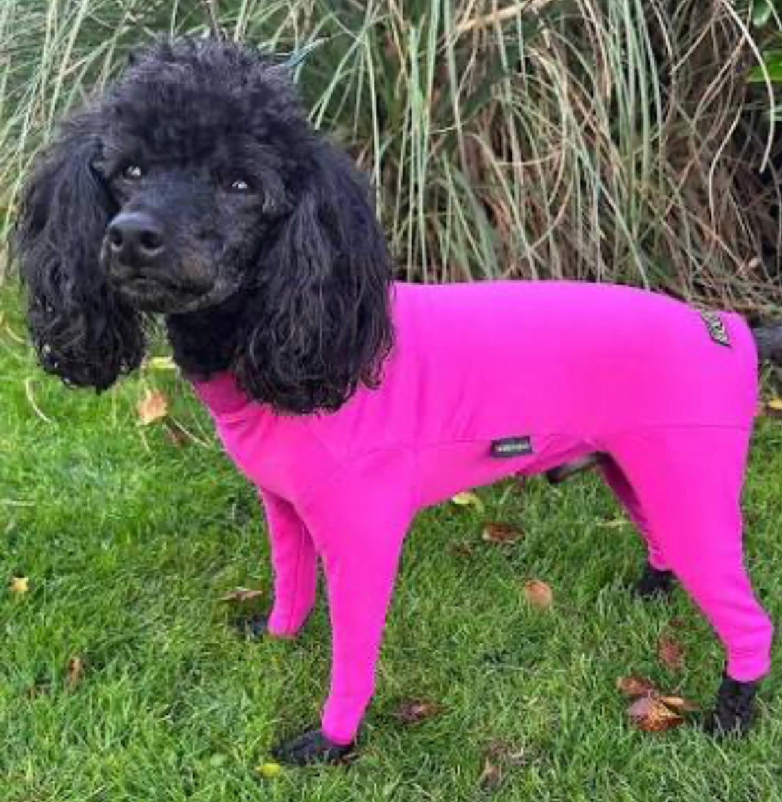 Equifleece Summer Suit Dachsie 19 Pink
