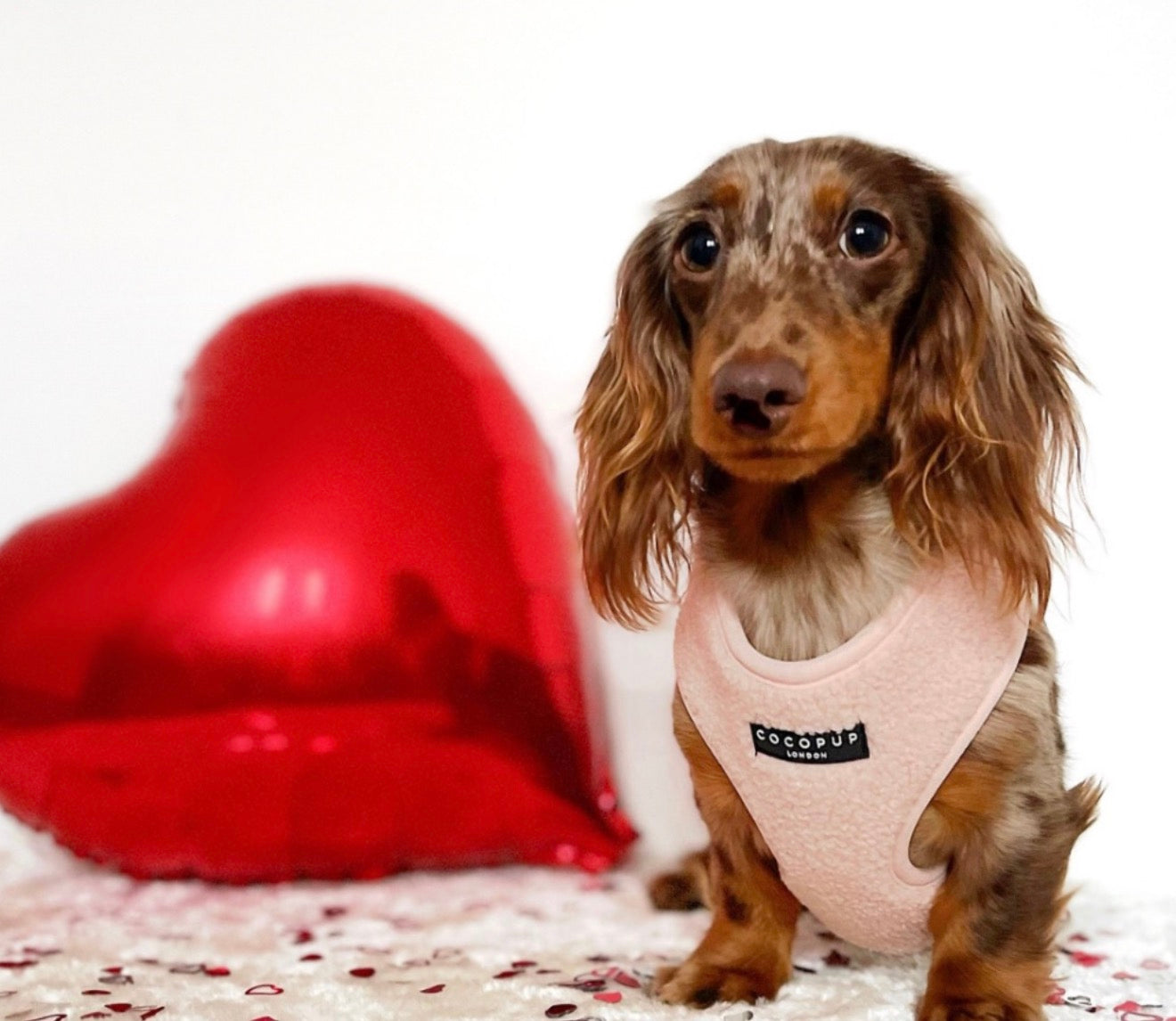 Cocopup London Teddy Adjustable Neck Harness Love-a-Lot