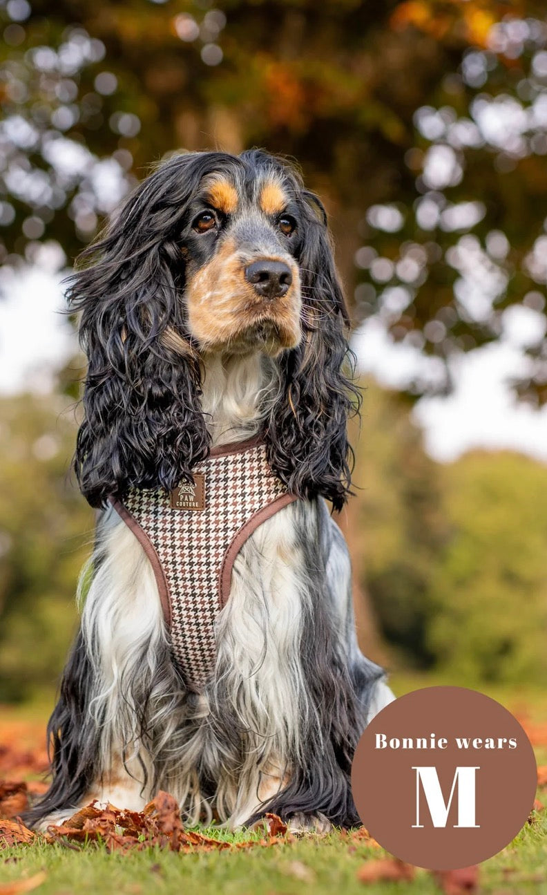 Paw Couture Country Houndstooth Adjustable Harness