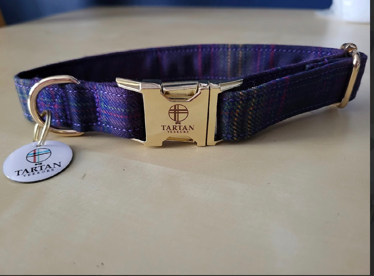 Tartan Terrors Monarch of the Glen Tartan Collar