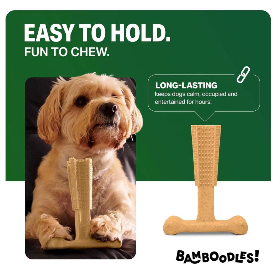 Bamboodles T-Bone Chew Toy Medium Size Chicken Flavour
