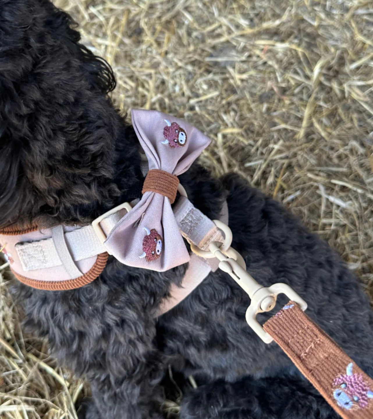 Cocopup Harold the Highland Cow Bow Tie