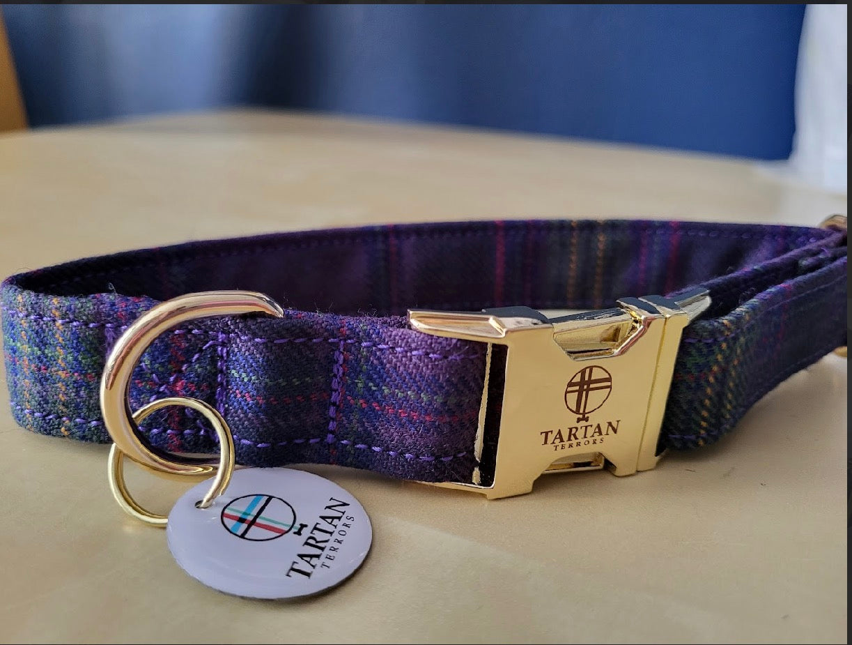 Tartan Terrors Monarch of the Glen Tartan Collar