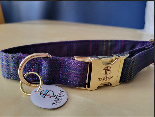 Tartan Terrors Monarch of the Glen Tartan Collar