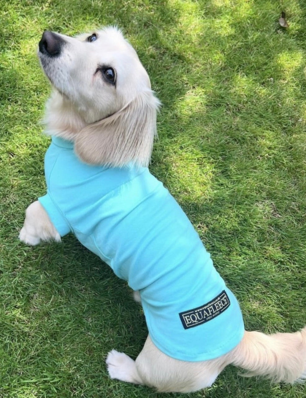 Equifleece Dog T-Shirt Body 16 Mint Green
