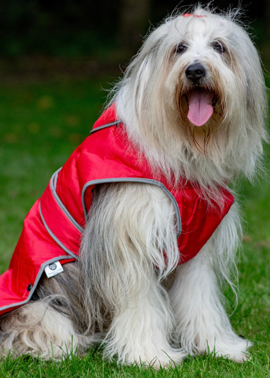 Ancol Stormguard Jacket Red