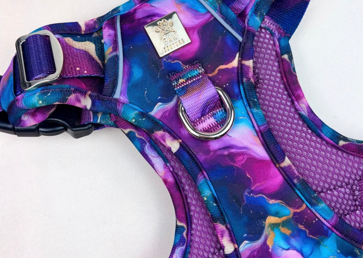 Paw Couture Cosmos Deluxe TrailBlazer Harness