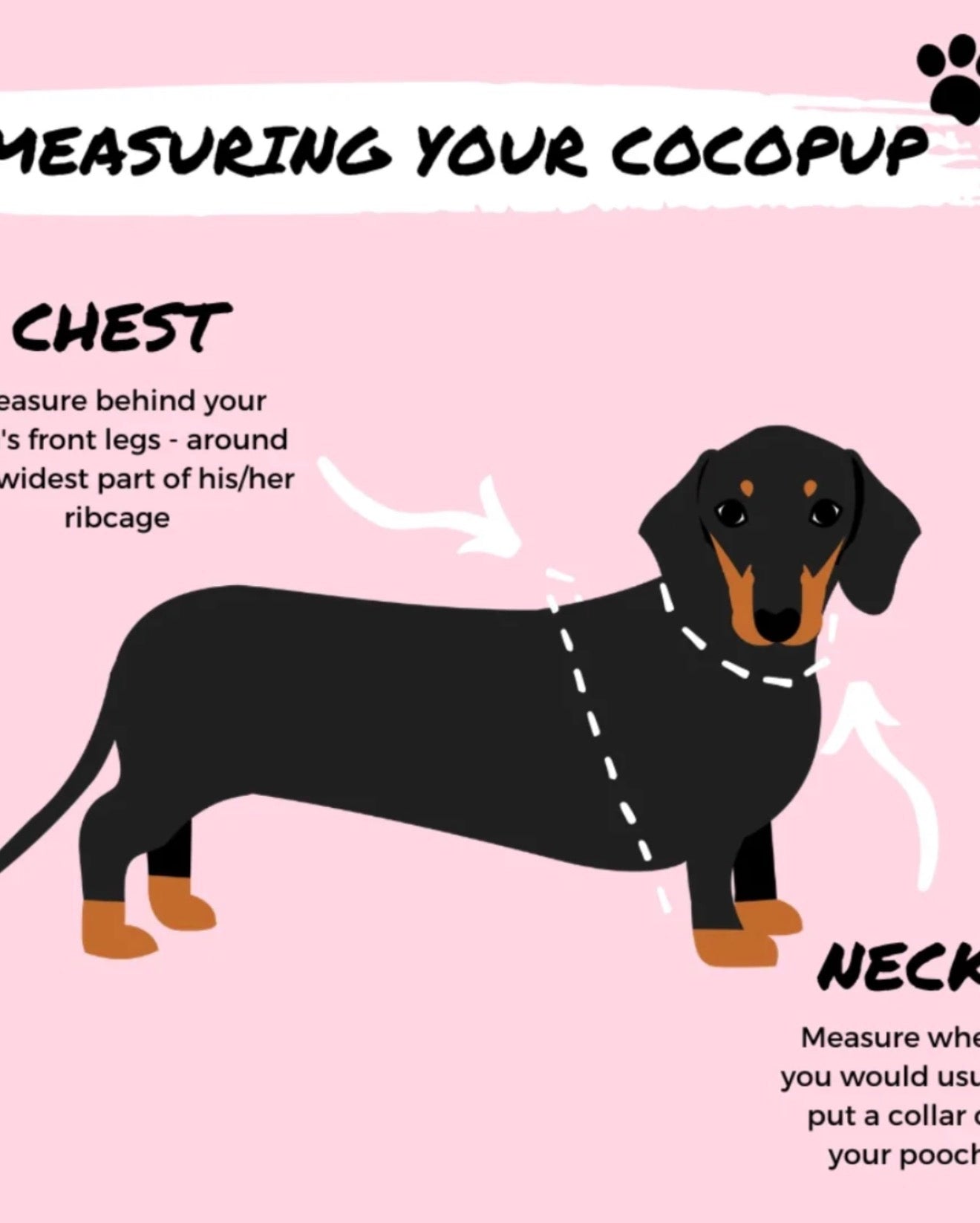 Cocopup London Nakd Adjustable Kneck Harness - Candyfloss