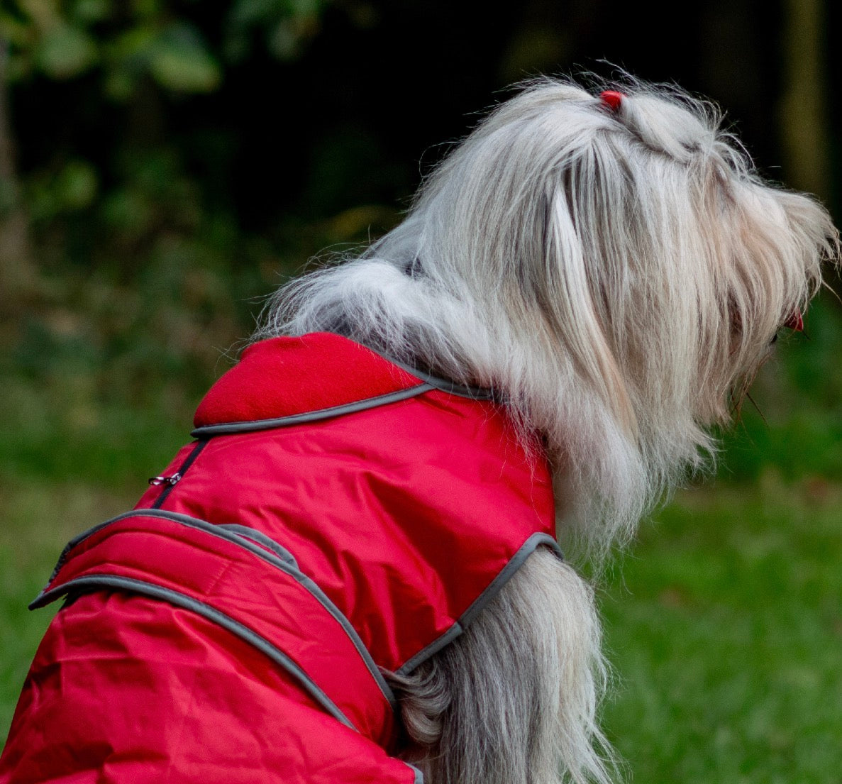 Ancol Stormguard Jacket Red
