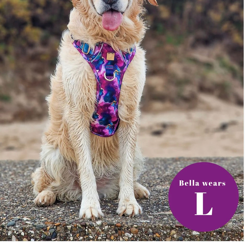Paw Couture Cosmos Deluxe TrailBlazer Harness