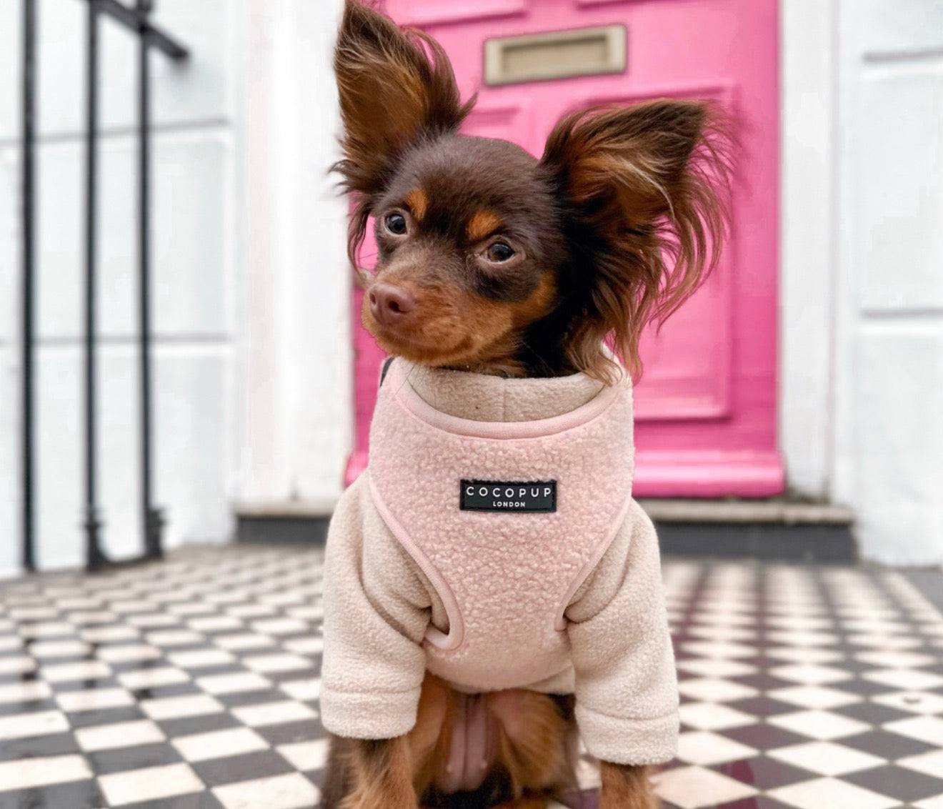 Cocopup London Teddy Adjustable Neck Harness Love-a-Lot