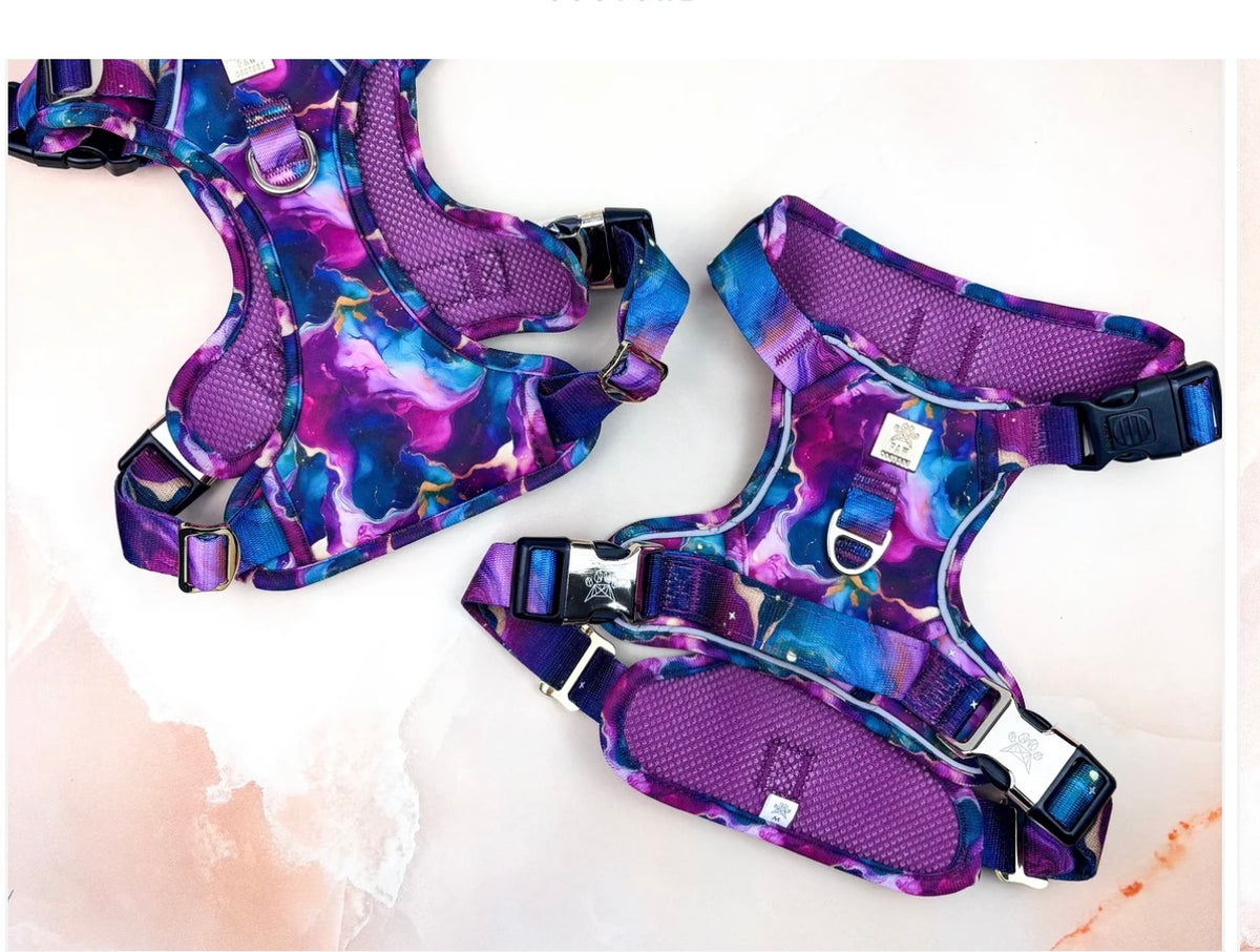 Paw Couture Cosmos Deluxe TrailBlazer Harness