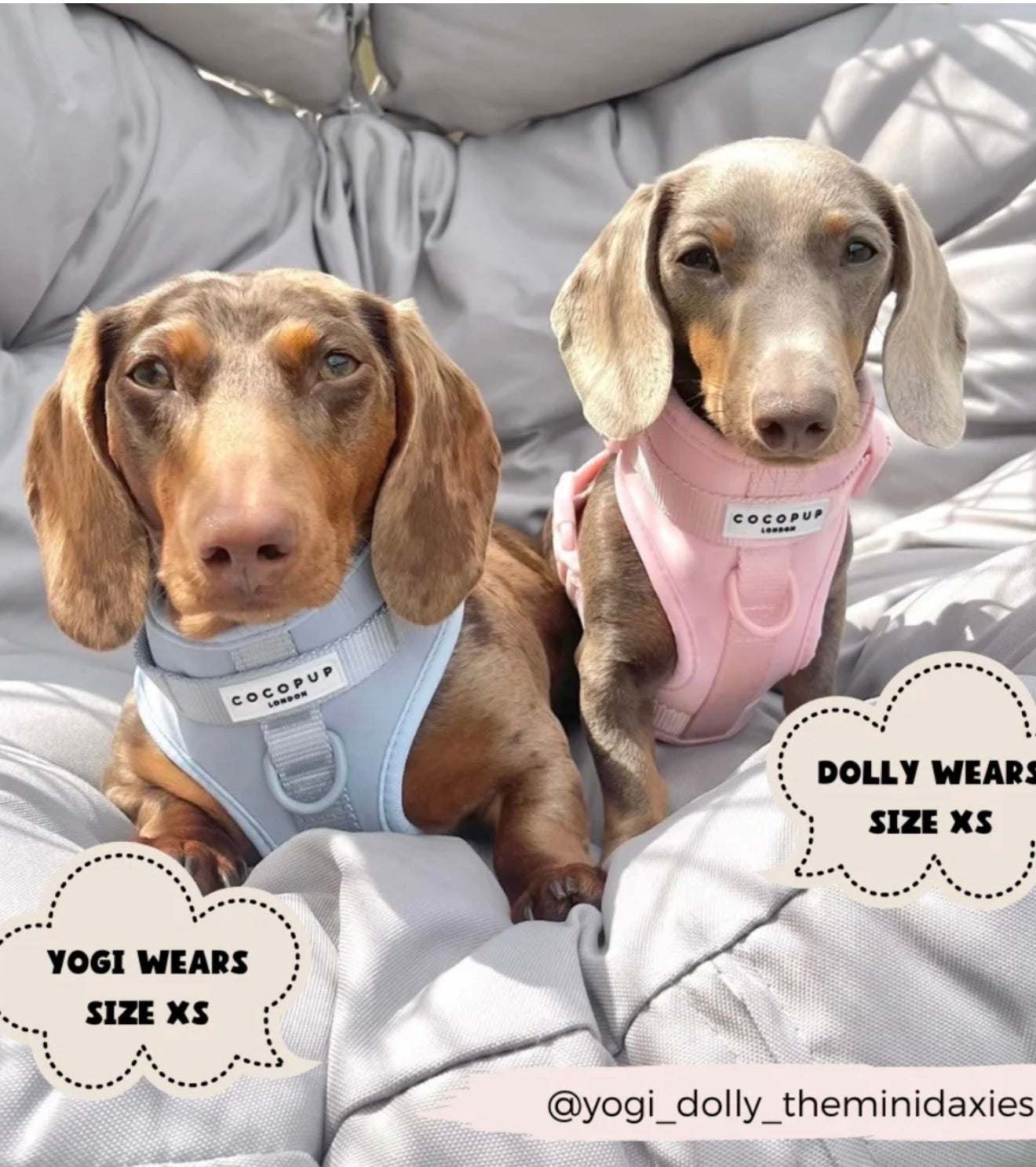 Cocopup London Nakd Adjustable Kneck Harness - Candyfloss