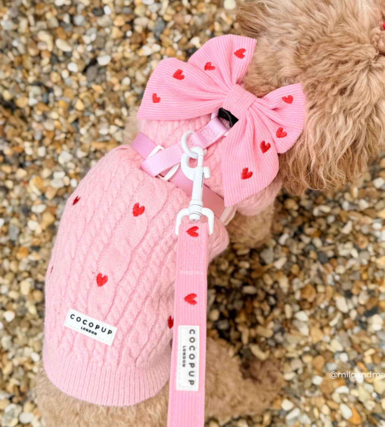 Cocopup London Dog Jumper Pink Heartstrings
