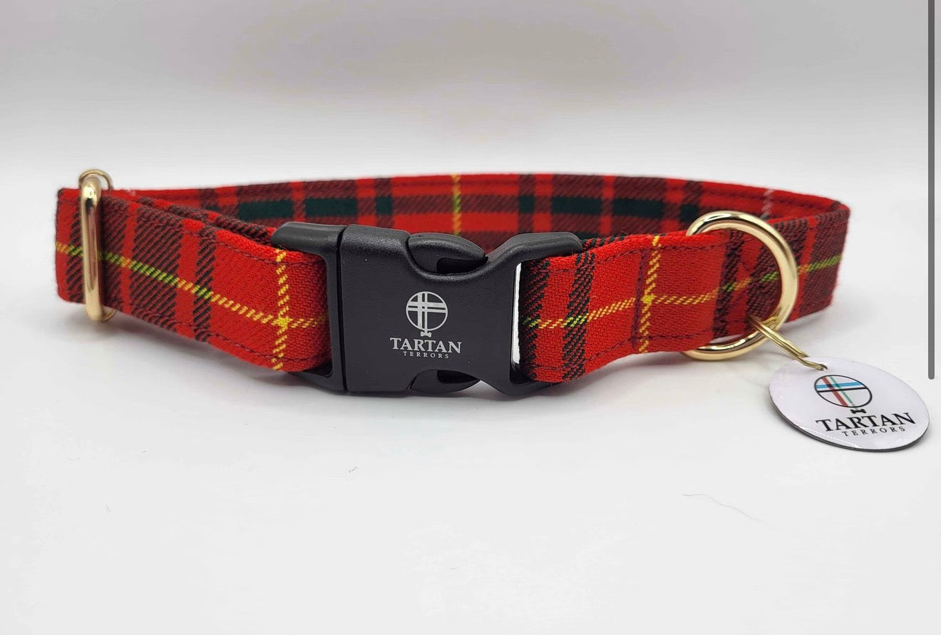 Tartan Terrors Collar Bruce Tartan