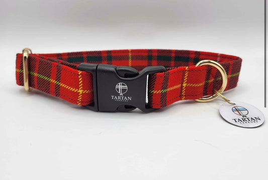 Tartan Terrors Collar Bruce Tartan