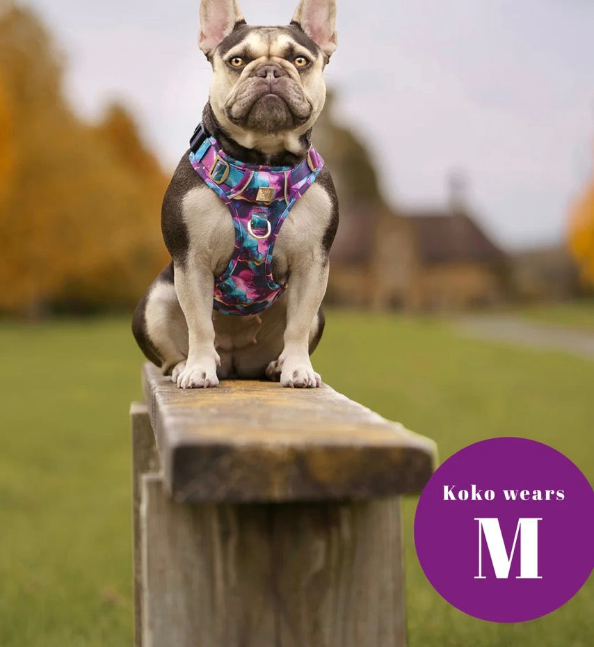 Paw Couture Cosmos Deluxe TrailBlazer Harness