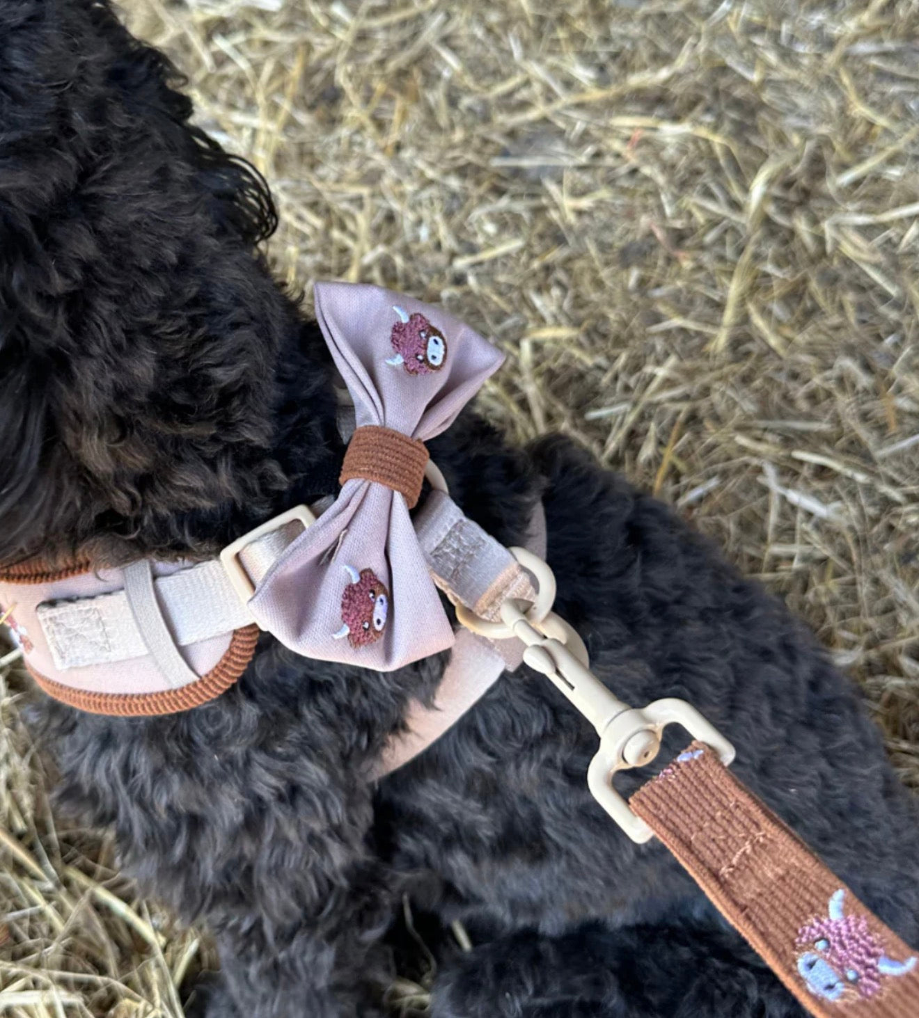 Cocopup London Harold the Highland Cow Lead