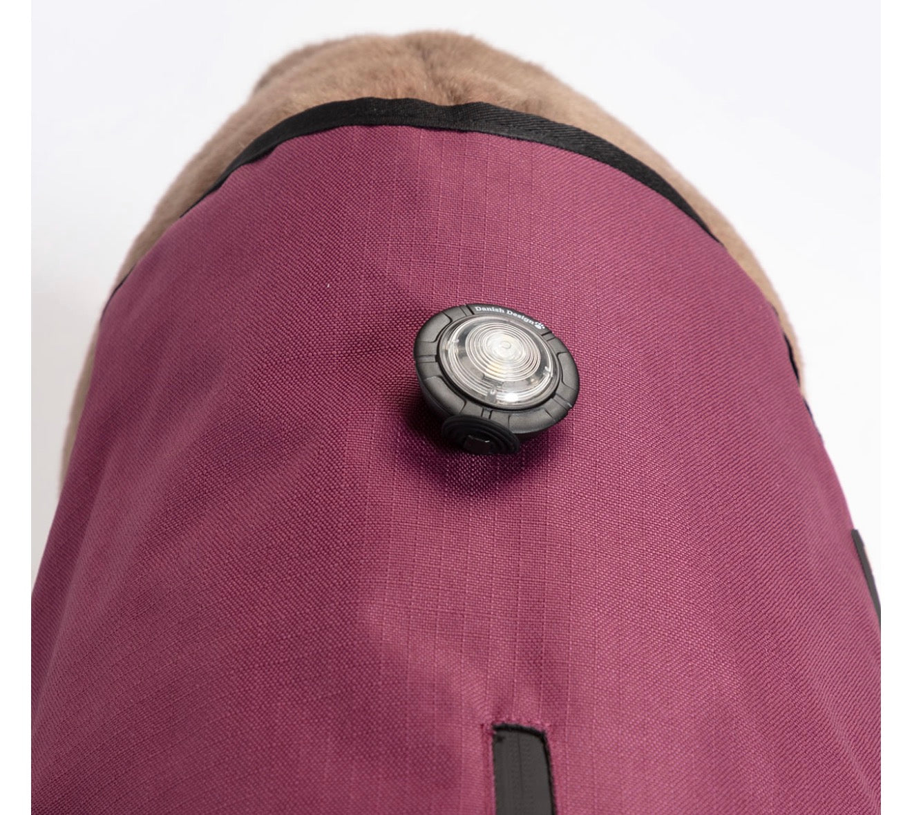 Danish Design 3 n 1 Dog Jacket Burgandy