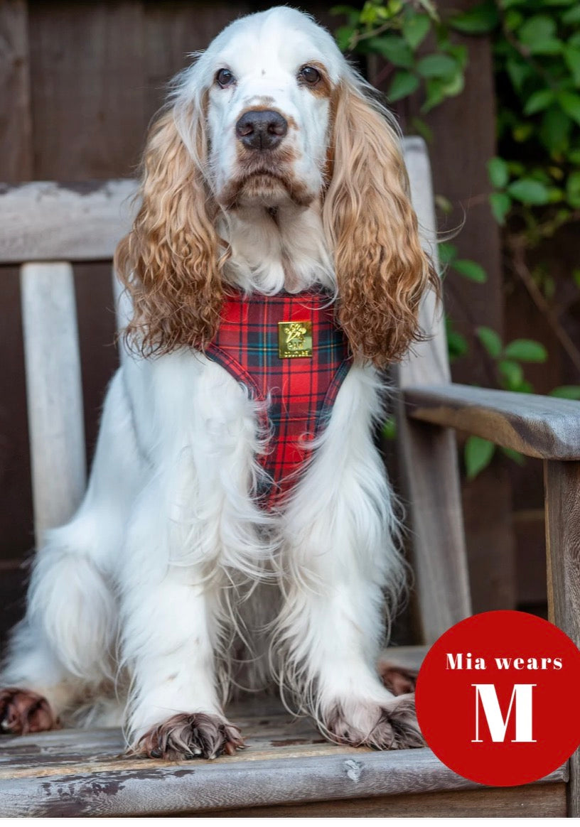 Paw Couture Tartan Deluxe Adjustable Harness
