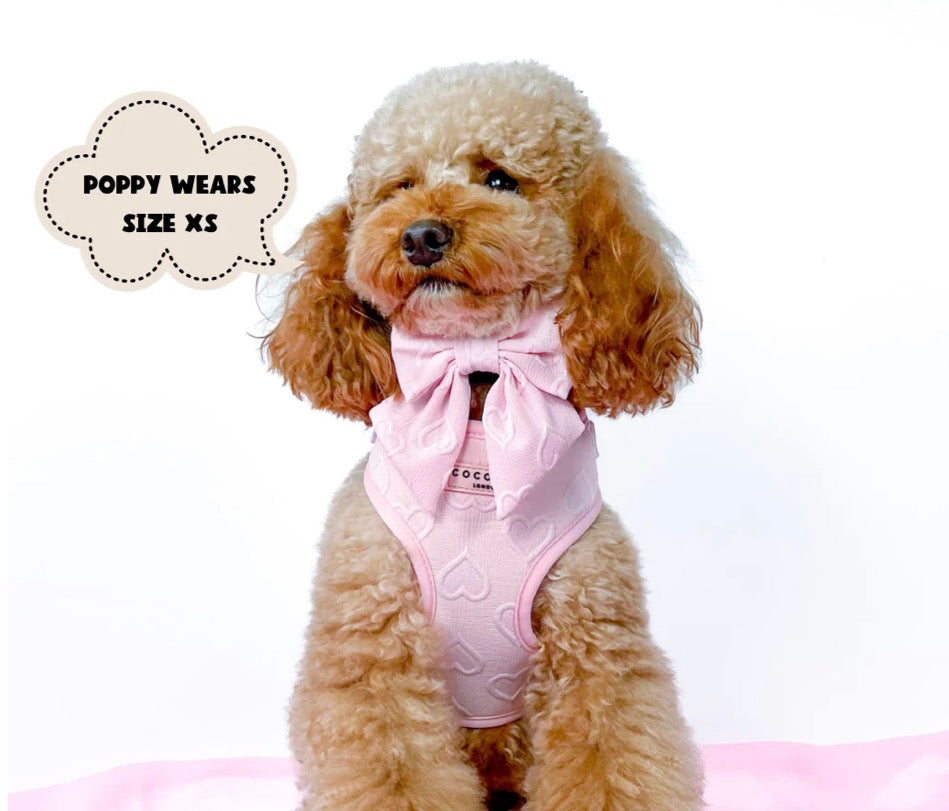 Cocopup London Luxe Sailor Bow Tie Baby Pink Heart