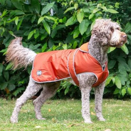 Ancol Stormguard Dog Jacket Terracotta