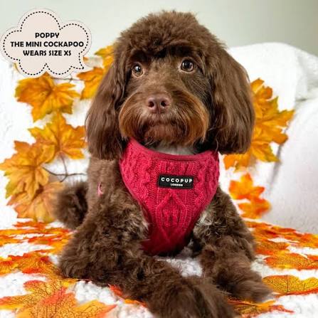 Cocopup London Cable Knit Jumper - Mulled Wine