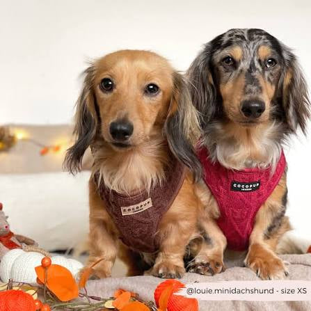 Cocopup London Cable Knit Jumper - Mulled Wine